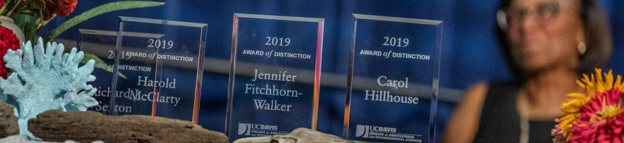 awards displayed at a ceremony